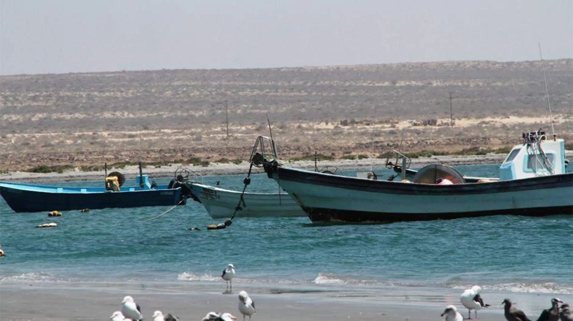 Entrega de seguros de vida a pescadores